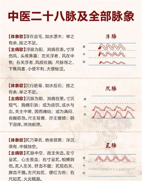 脈相 浮滑|﻿脈象之浮、沉、滑、數 